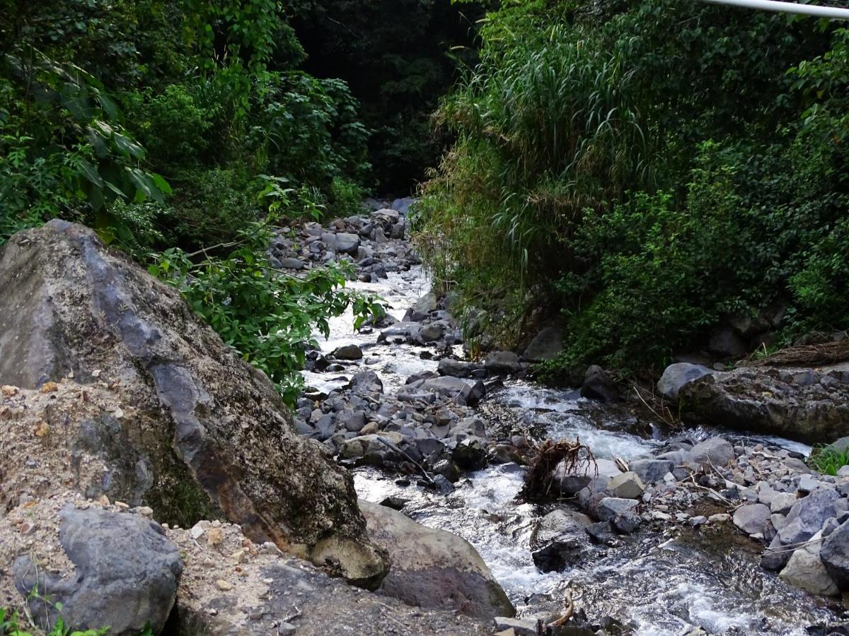 Miztli Lodge & Adventure Monteverde Bagian luar foto