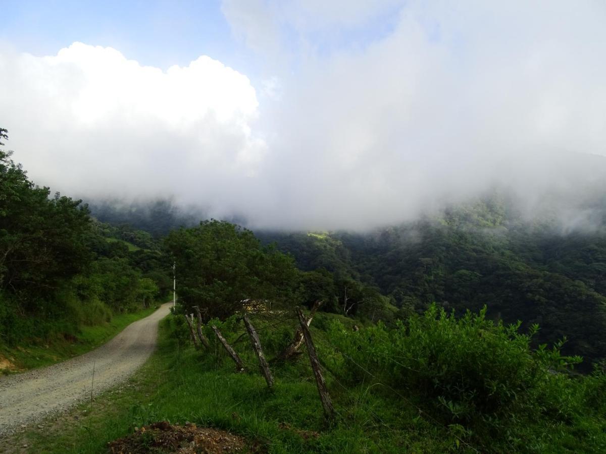 Miztli Lodge & Adventure Monteverde Bagian luar foto