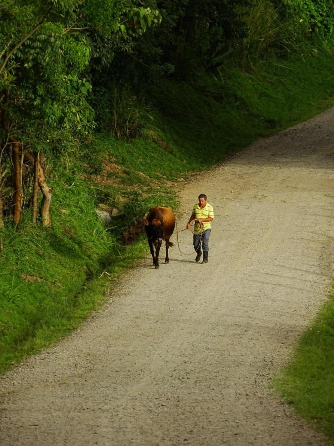 Miztli Lodge & Adventure Monteverde Bagian luar foto