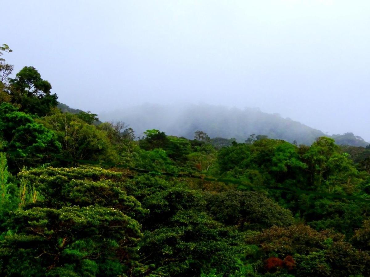 Miztli Lodge & Adventure Monteverde Bagian luar foto